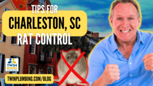 Read more about the article The Ultimate Guide to Rodent Control in South Carolina: Tips and Techniques
