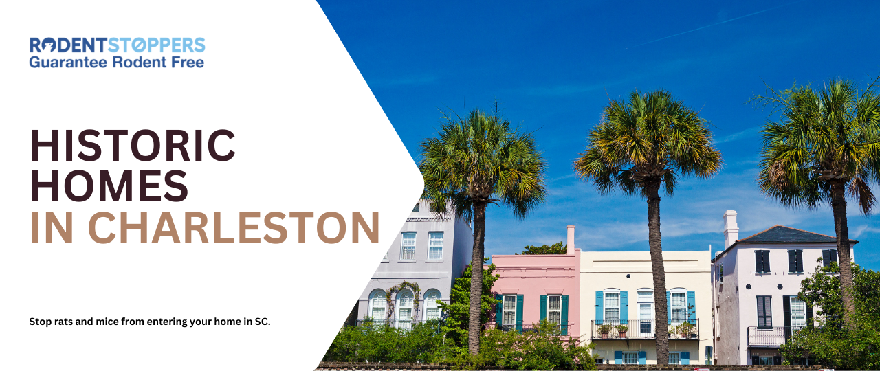 Historic homes in charleston